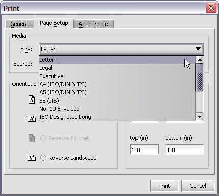 Servoy Client print preview print dialog page setup size