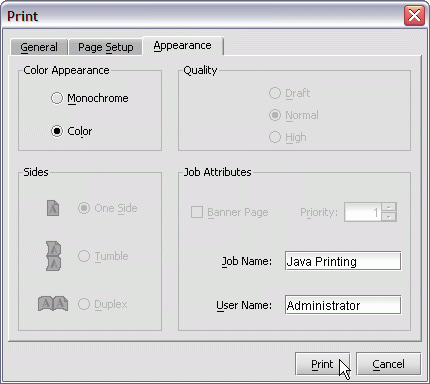 Servoy Client print preview print dialog appearance tab